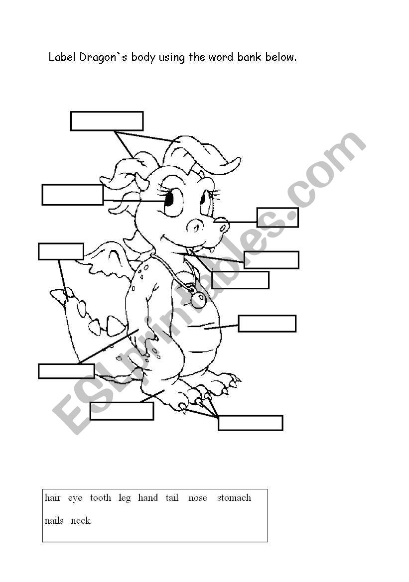 Label Dragon`s body using the word bank below.
